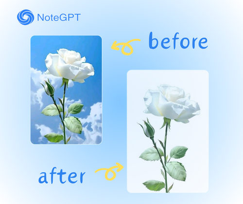 Why use AI Background Remover?