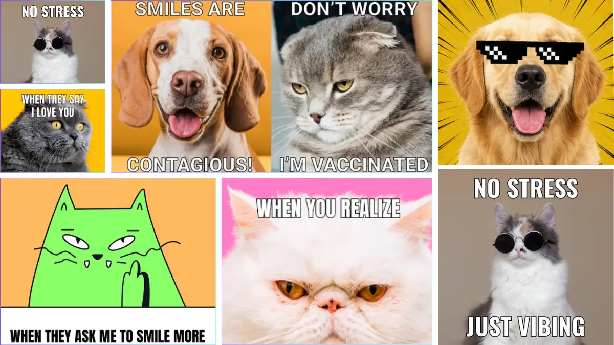 AI Meme Generator Sample | NoteGPT