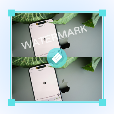 Step 2: Remove Watermarks