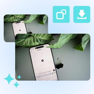 Step 3: Copy or Download Image